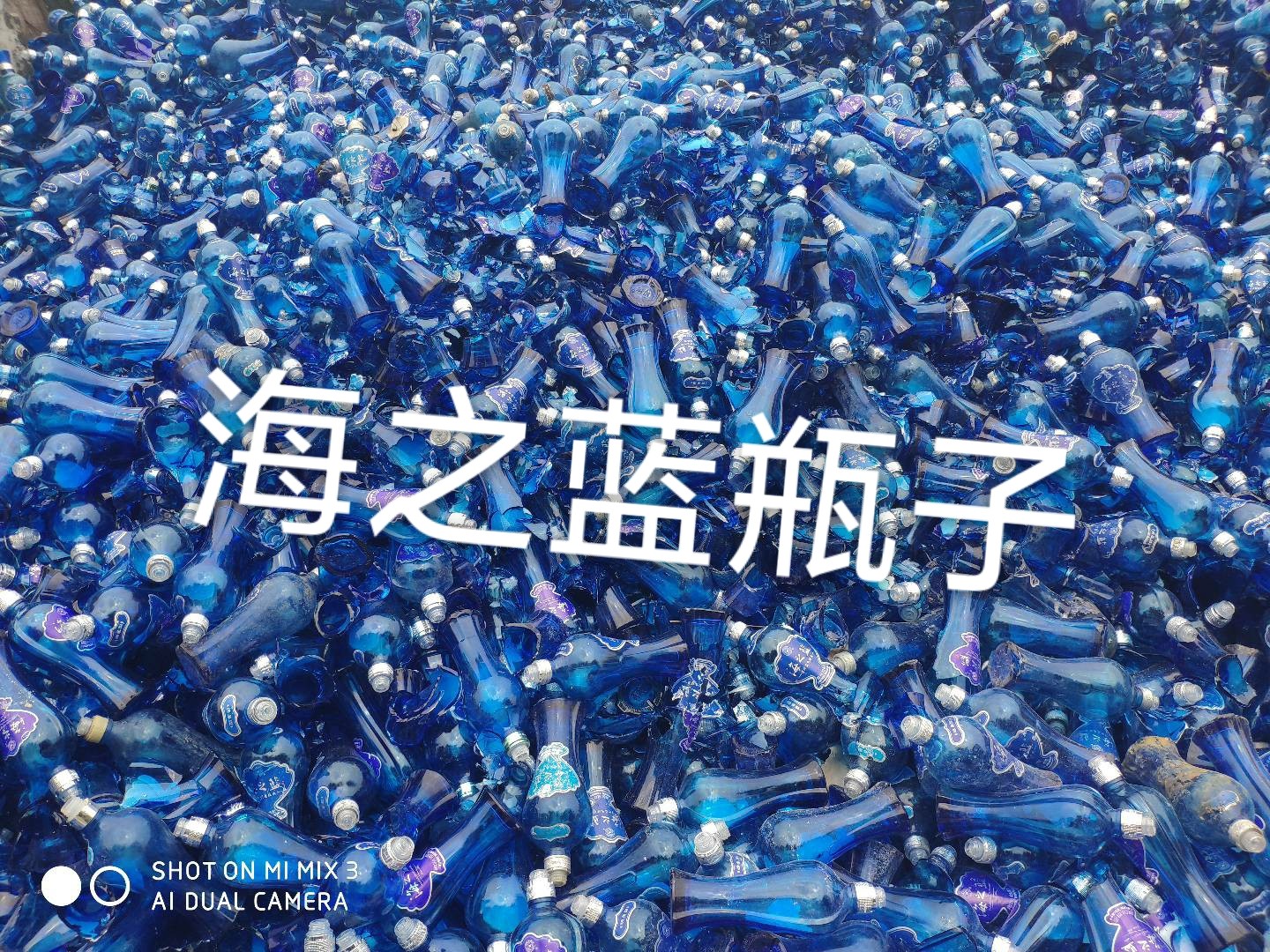 邗江区海之蓝瓶回收